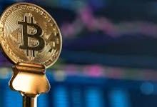 CastleYield AI Scam Review: How It Steals From You Day by Day-Expose scammer